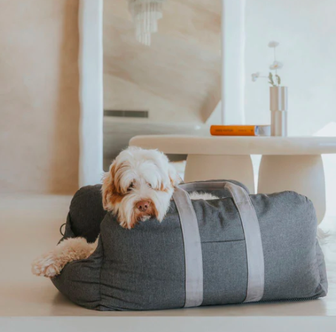 El trono seguro y elegante que tu perro merece en cada viaje
